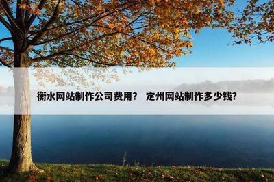衡水與定州網(wǎng)站制作公司費(fèi)用及國內(nèi)廣告設(shè)計(jì)費(fèi)用全解析