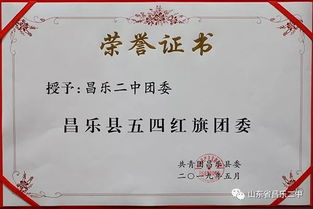 271教育結(jié)碩果，昌樂二中共青團(tuán)工作獲多項榮譽(yù)